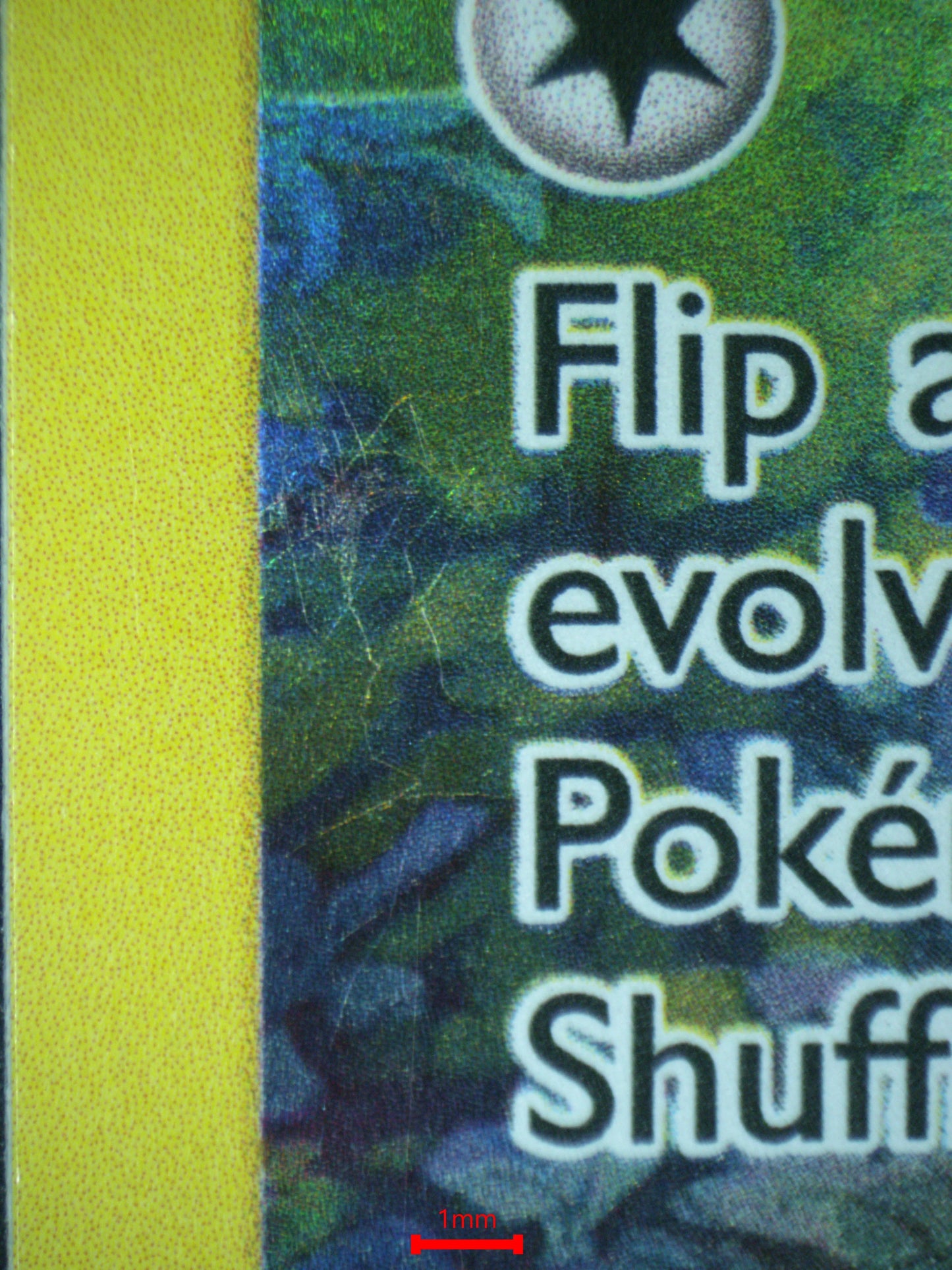 02407 CELEBI Grading Card