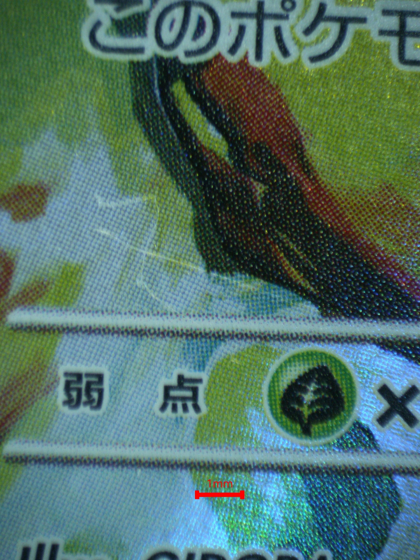 02445 HISUIAN GROWLITHE (JAPANESE) Grading Card
