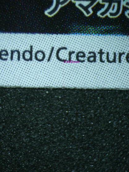 02446 AIPOM (JAPANESE) Grading Card