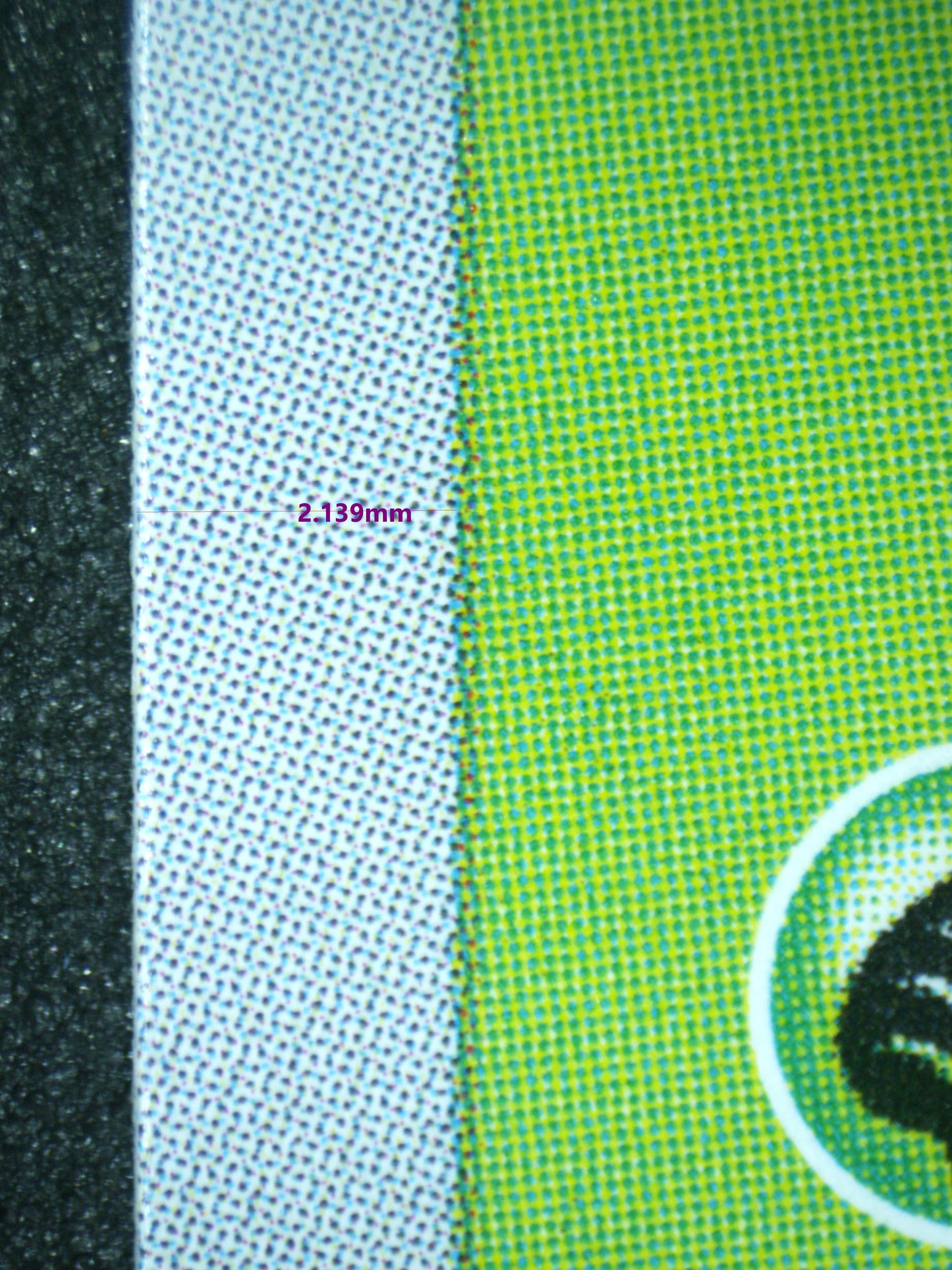 02455 BULBASAUR (JAPANESE) Grading Card