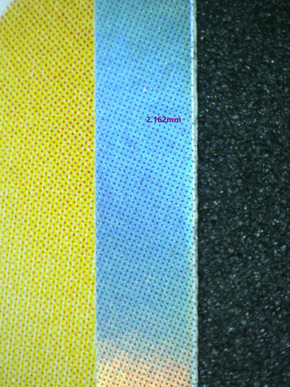 02456 TAIPEI'S PIKACHU (TRAD.CHINESE) Grading Card
