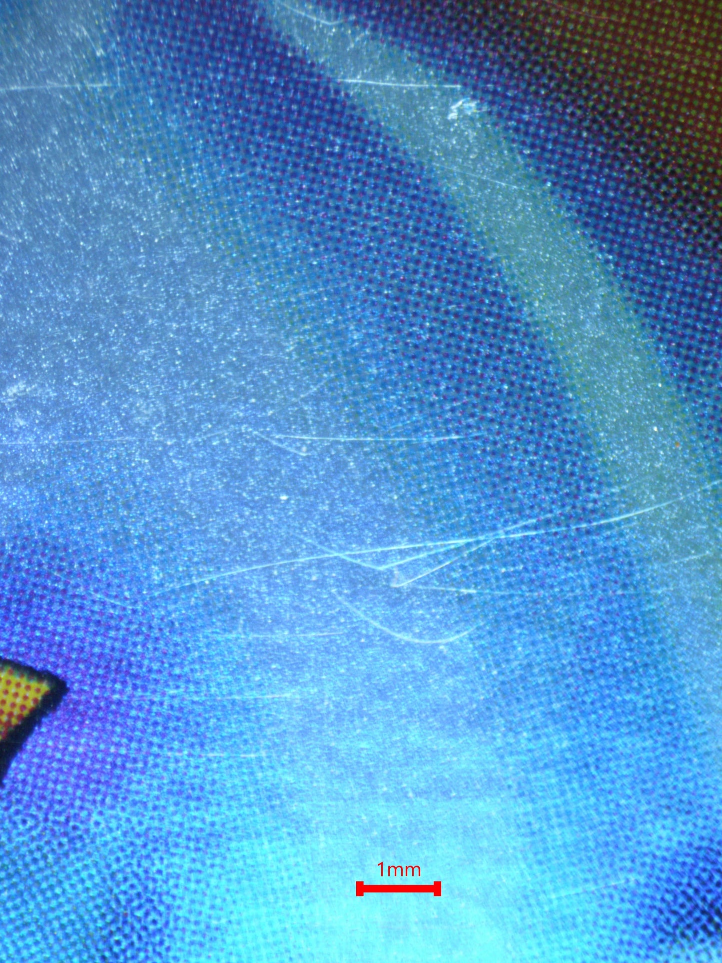 02403 LEFT ARM OF THE FORBIDDEN ONE (ASIAN-ENGLISH) Grading Card