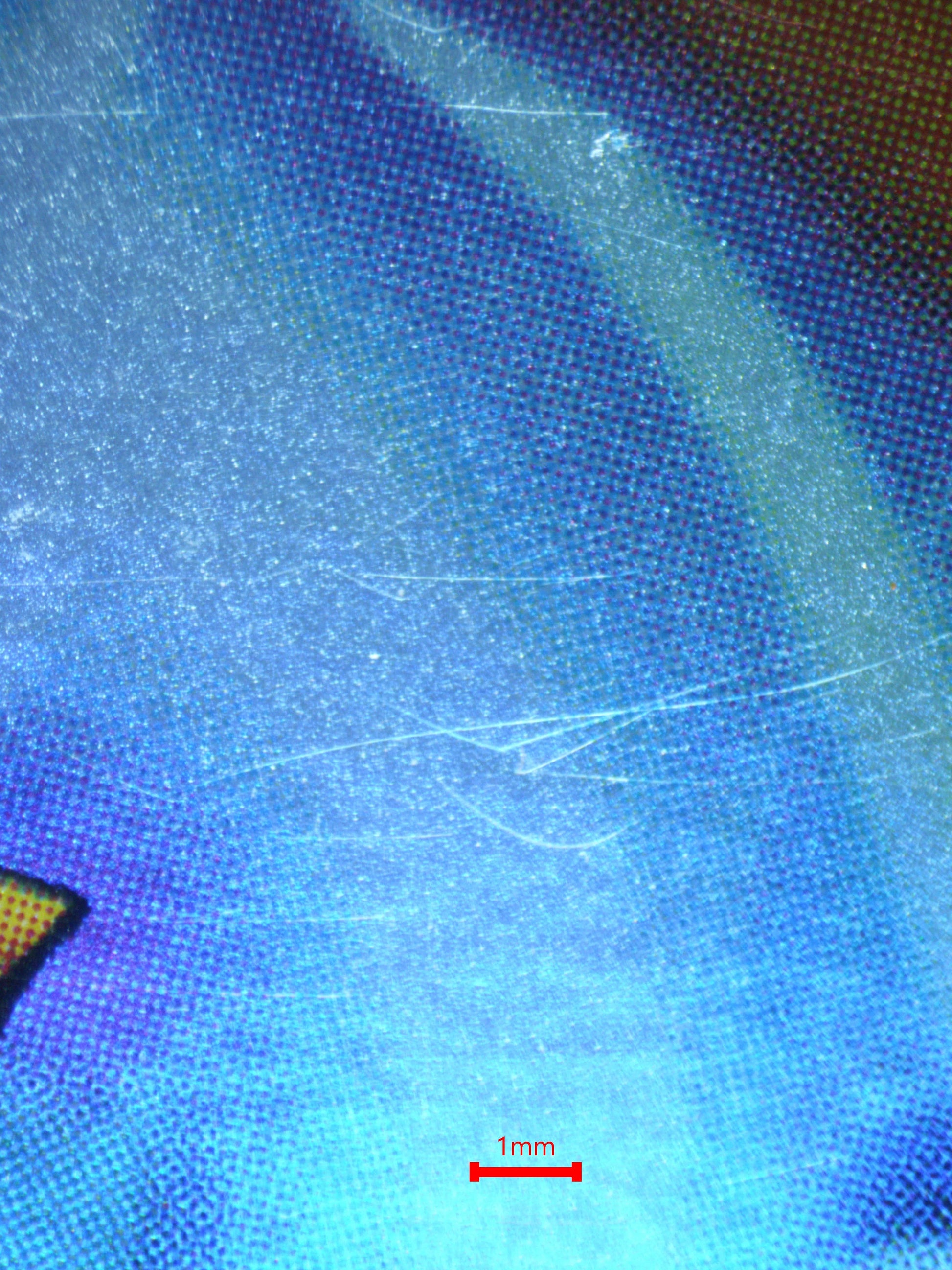 02403 LEFT ARM OF THE FORBIDDEN ONE (ASIAN-ENGLISH) Grading Card