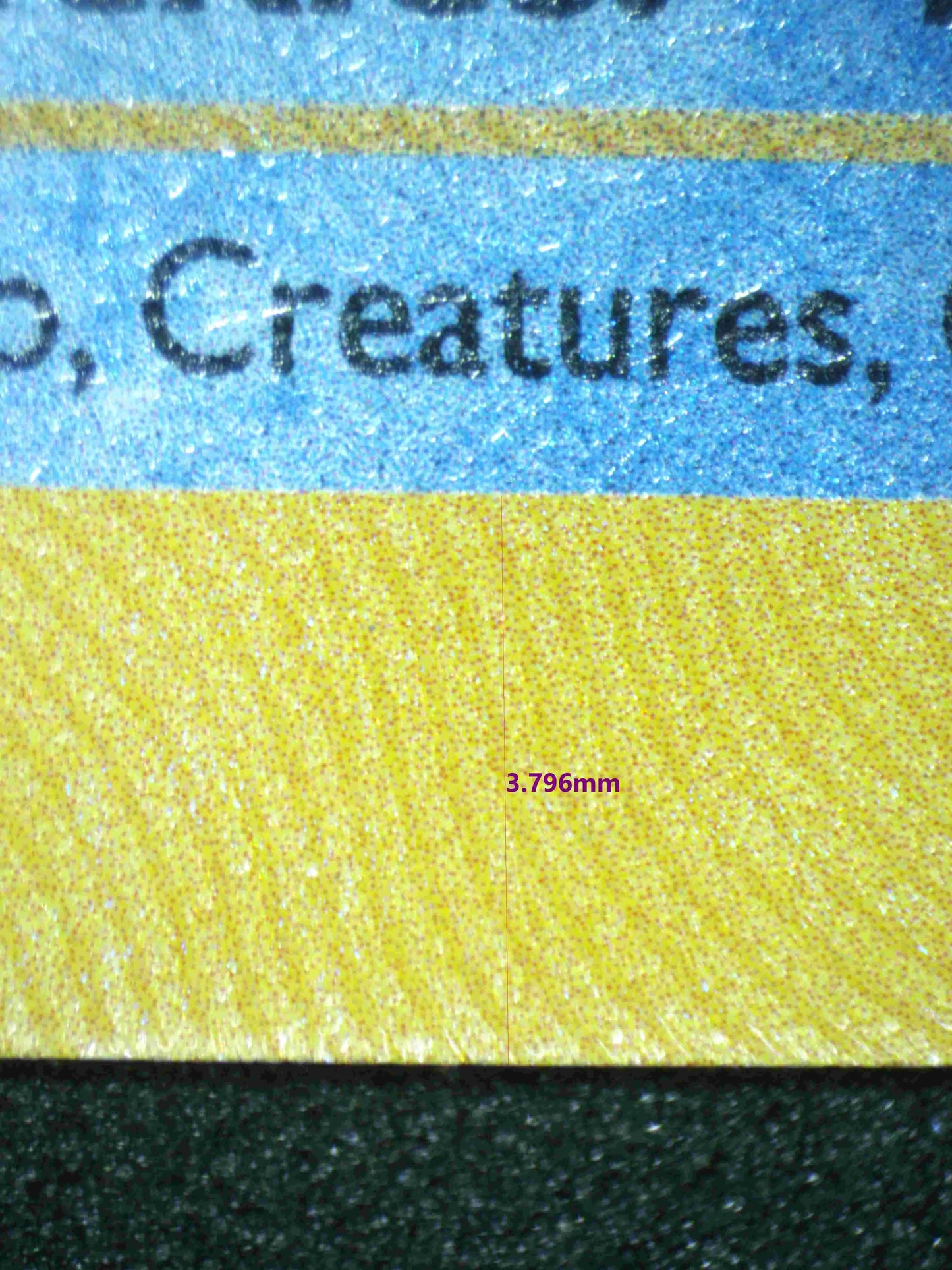 02499 BLASTOISE Grading Card