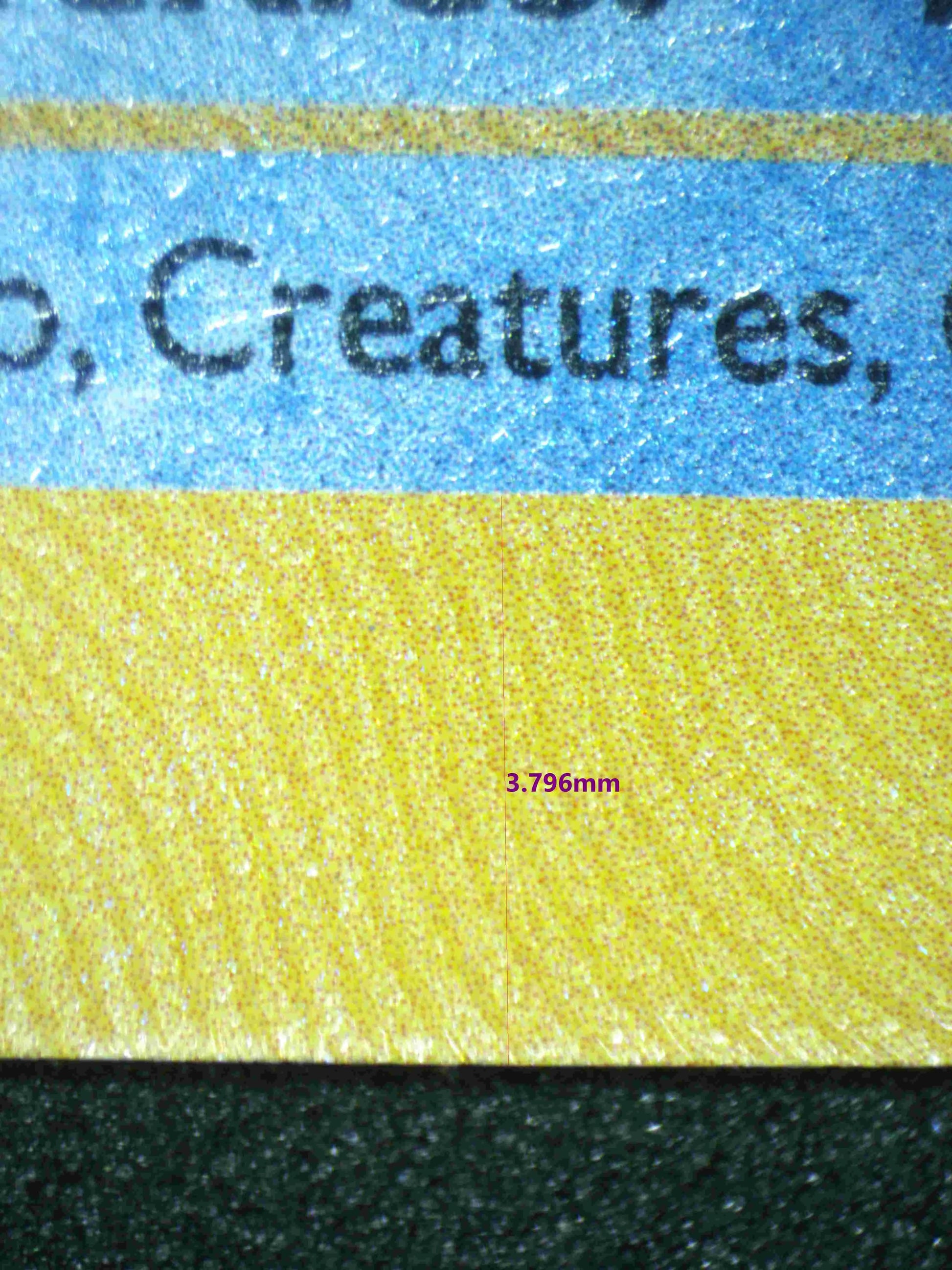 02499 BLASTOISE Grading Card