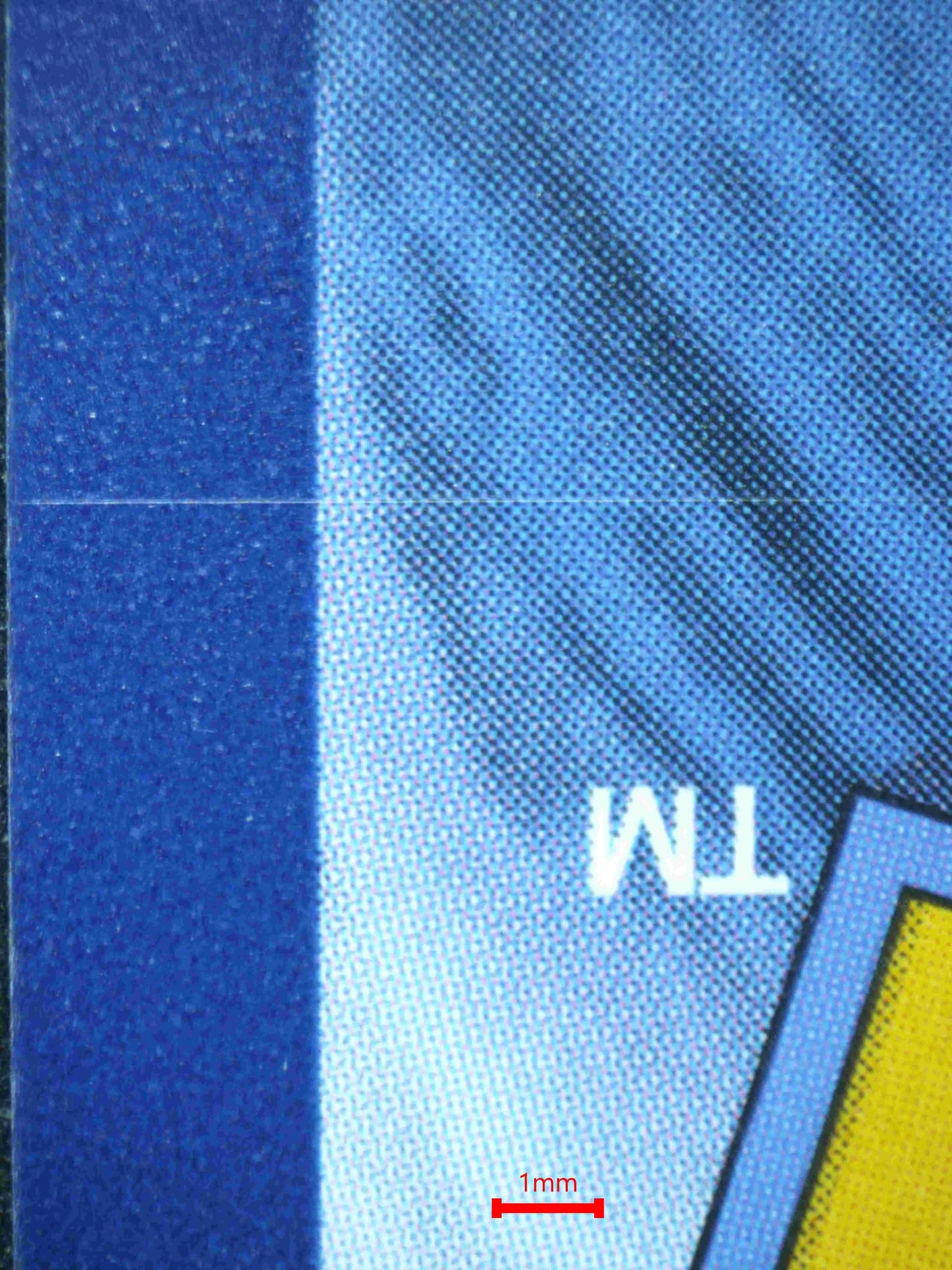 02511 ERIKA'S INVITATION Grading Card