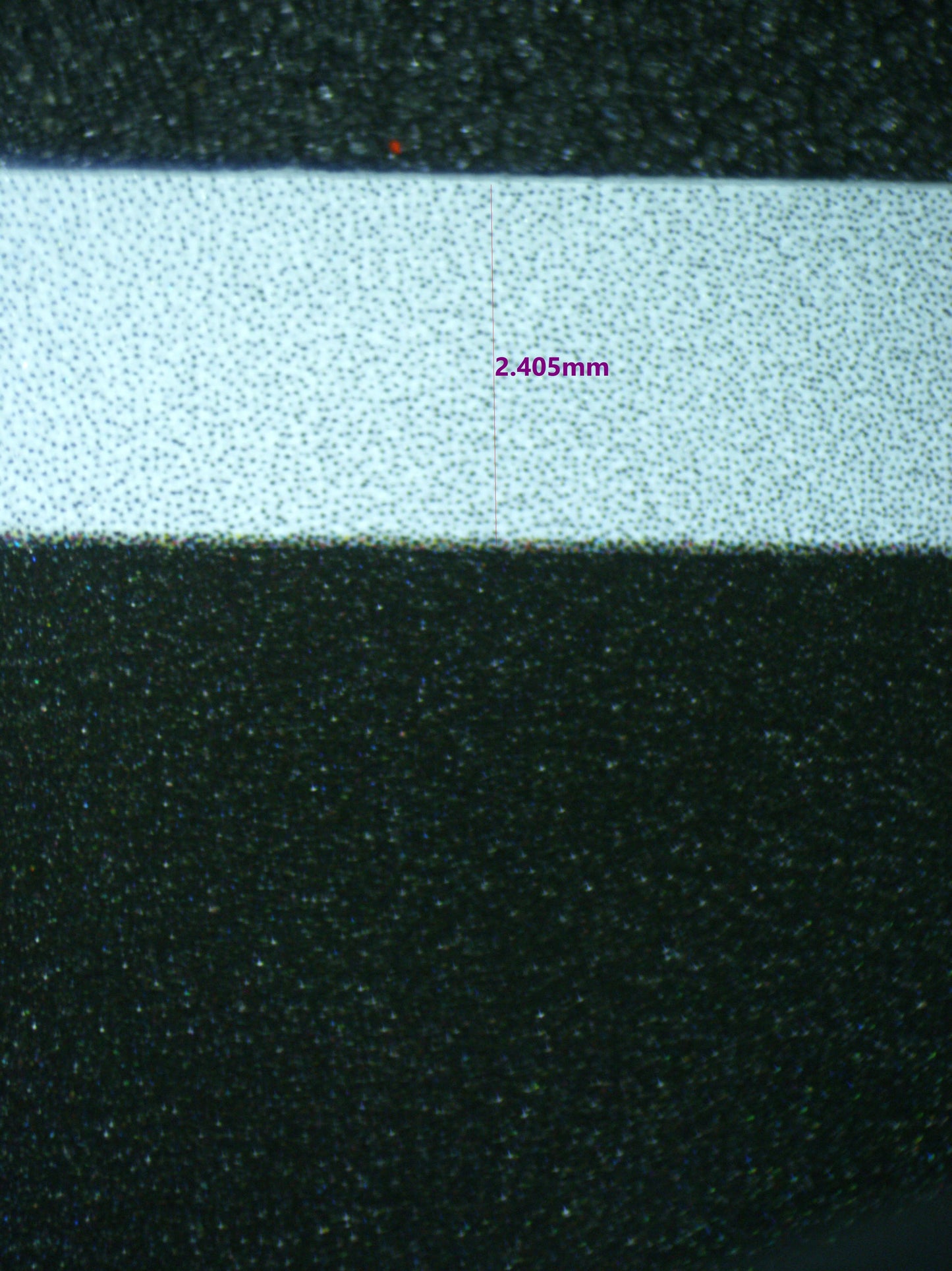 02552 PALAFIN Grading Card