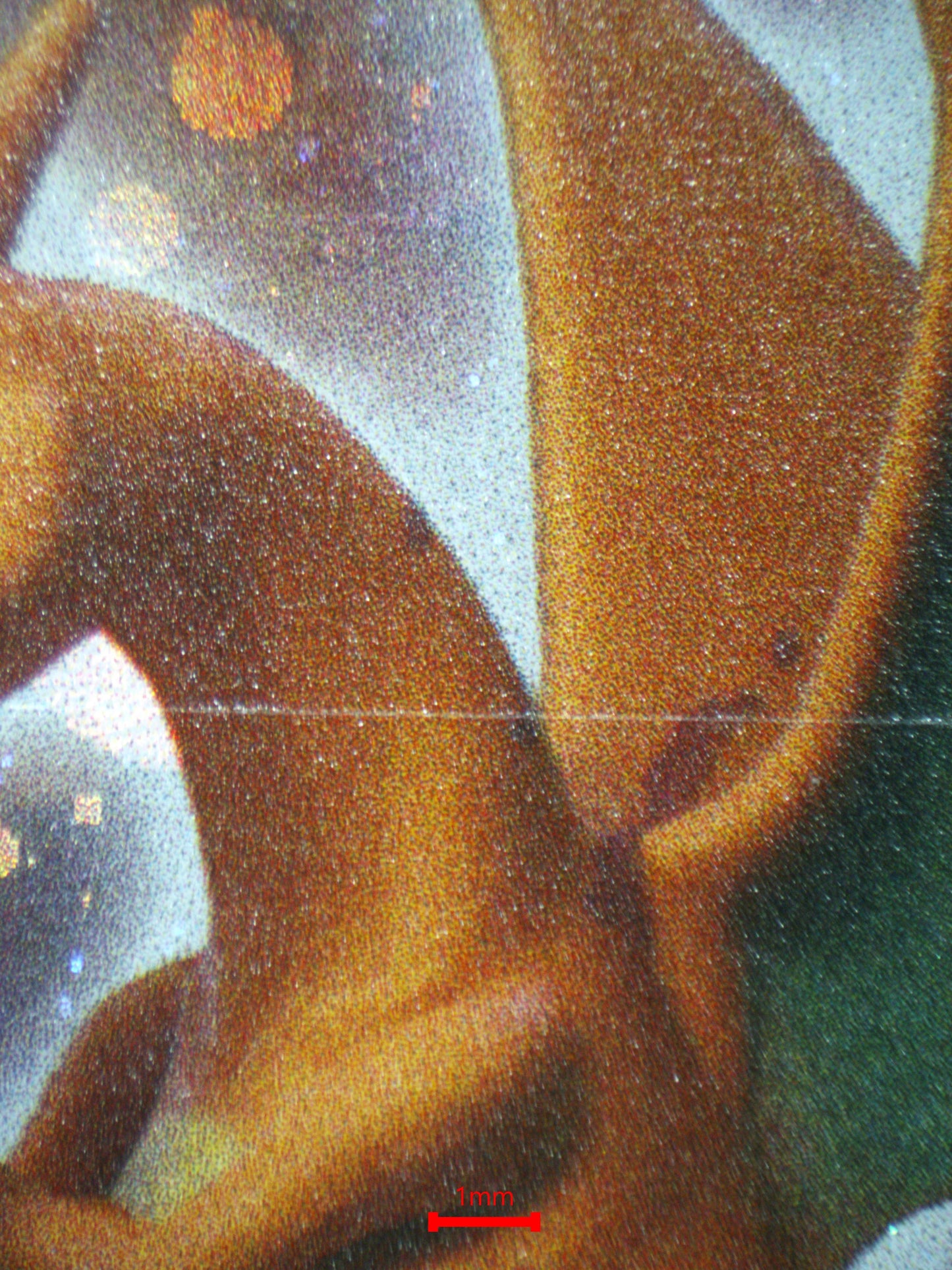 02553 CHARIZARD (SPANISH) Grading Card