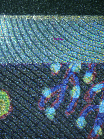 02560 LUMINEON V Grading Card