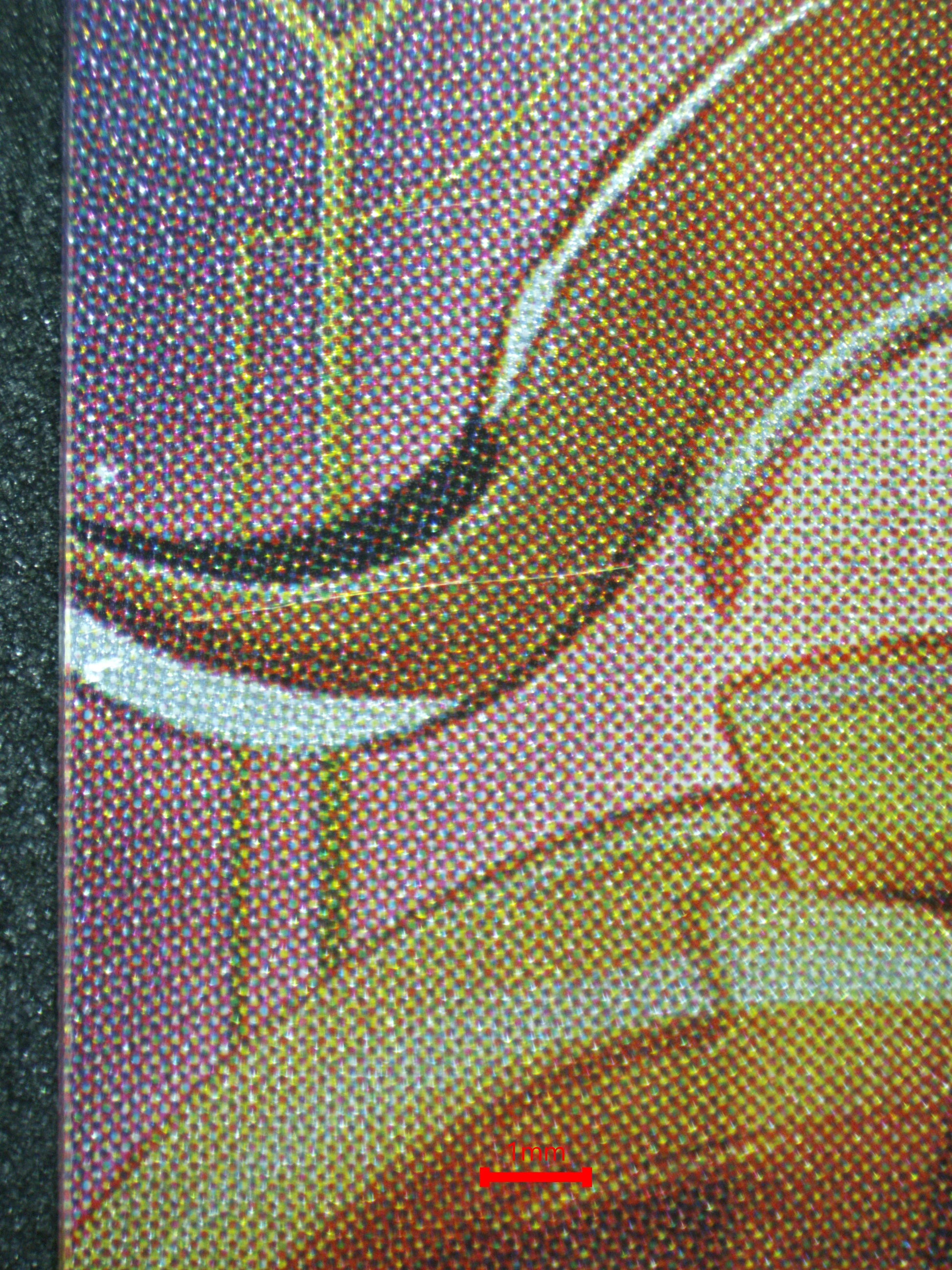 02677 ZHONGLI, VAGO MUNDO (JAPANESE) Grading Card
