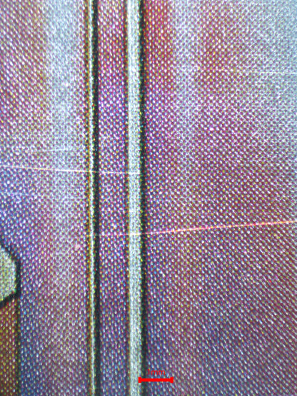 02699 KLEE (JAPANESE) Grading Card