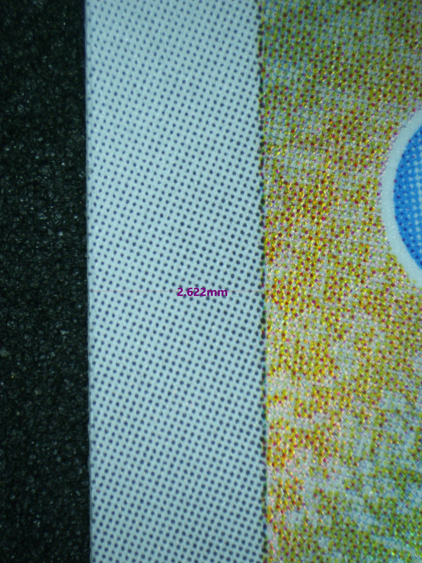 02732 SQUIRTLE (JAPANESE) Grading Card