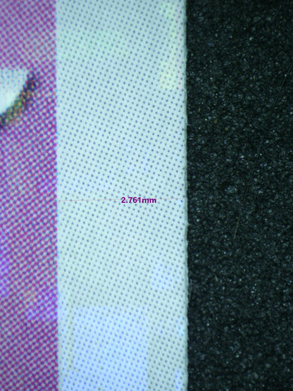 02737 CLEFFA (JAPANESE) Grading Card