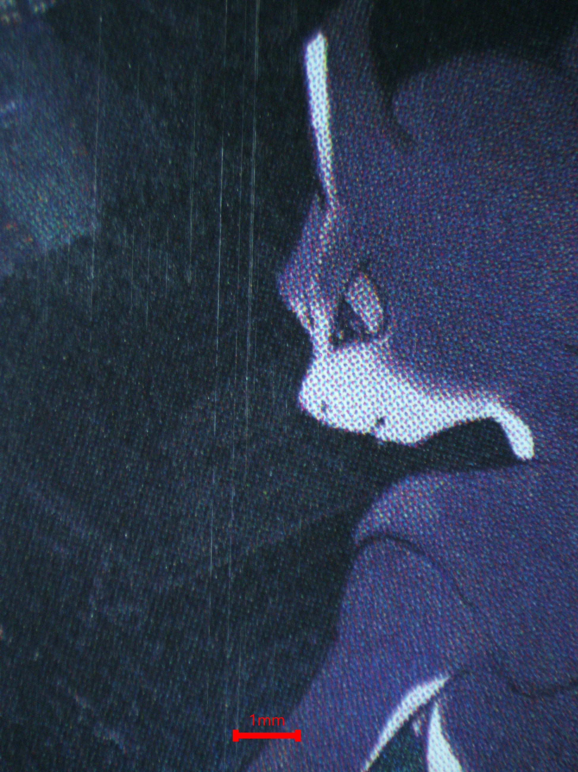 02759 MEWTWO (KOREAN) Grading Card