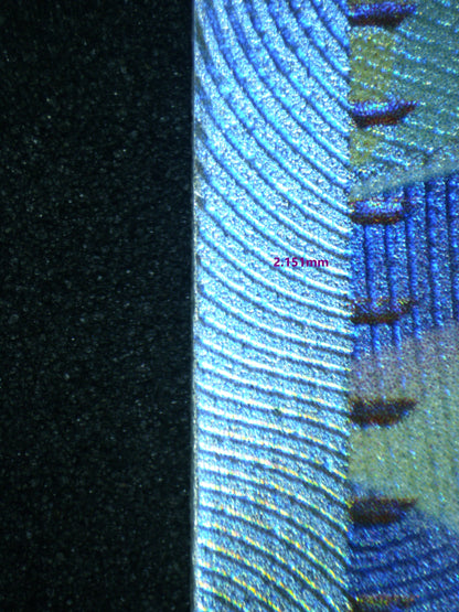 02780 SAGUARO Grading Card