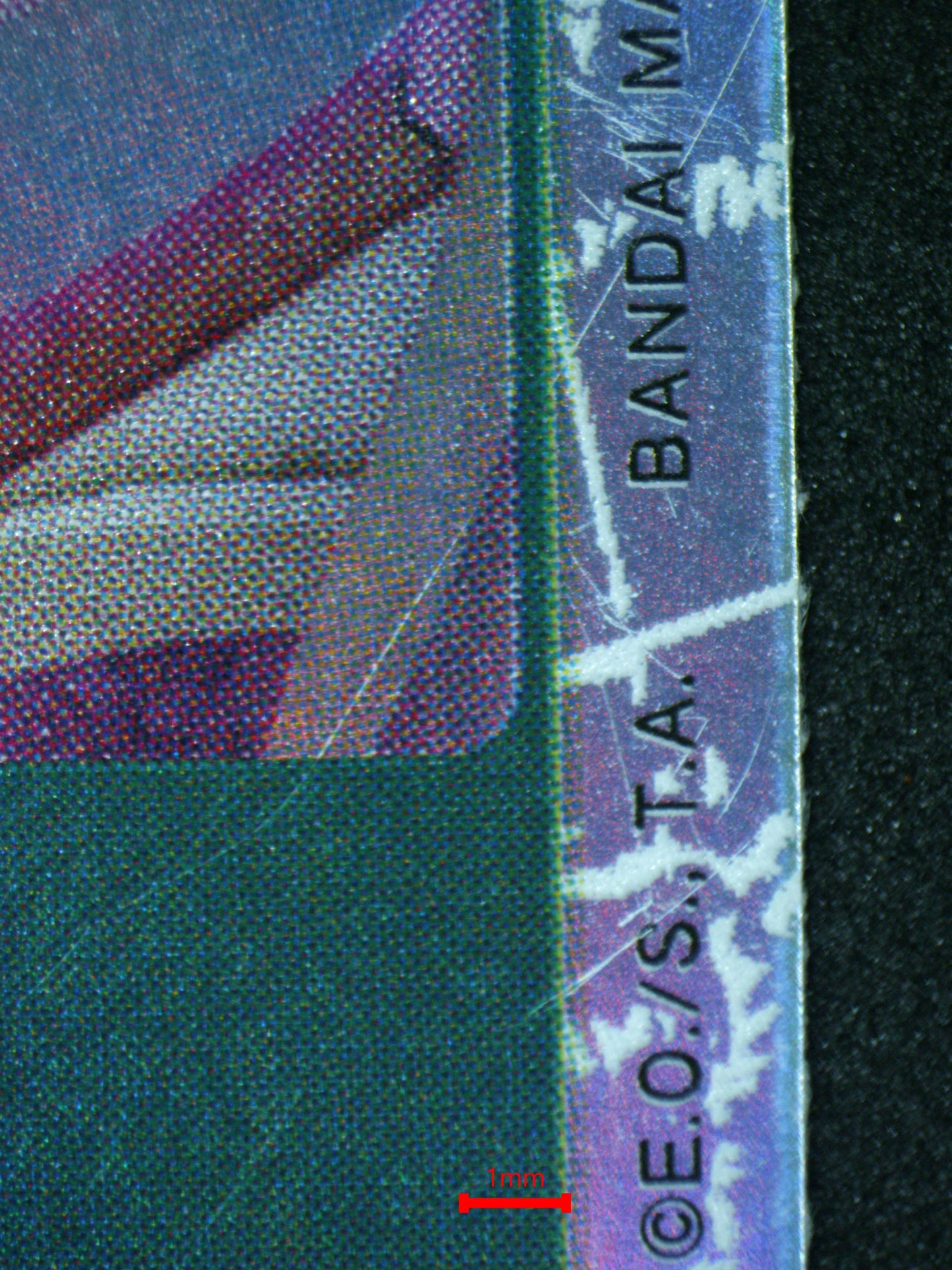 02783 CAVENDISH Grading Card