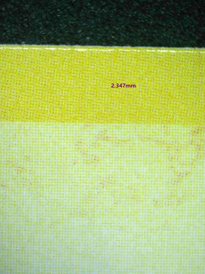 02796 PIKACHU Grading Card