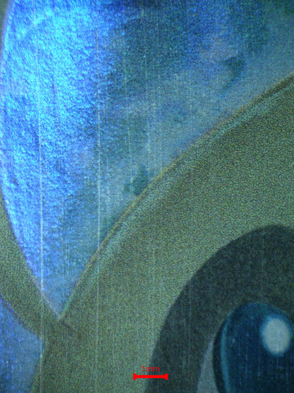 02801 CELEBI Grading Card