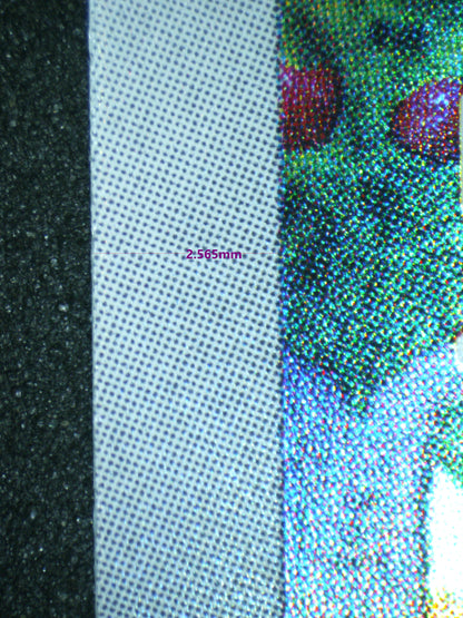 02818 APPLIN (JAPANESE) Grading Card