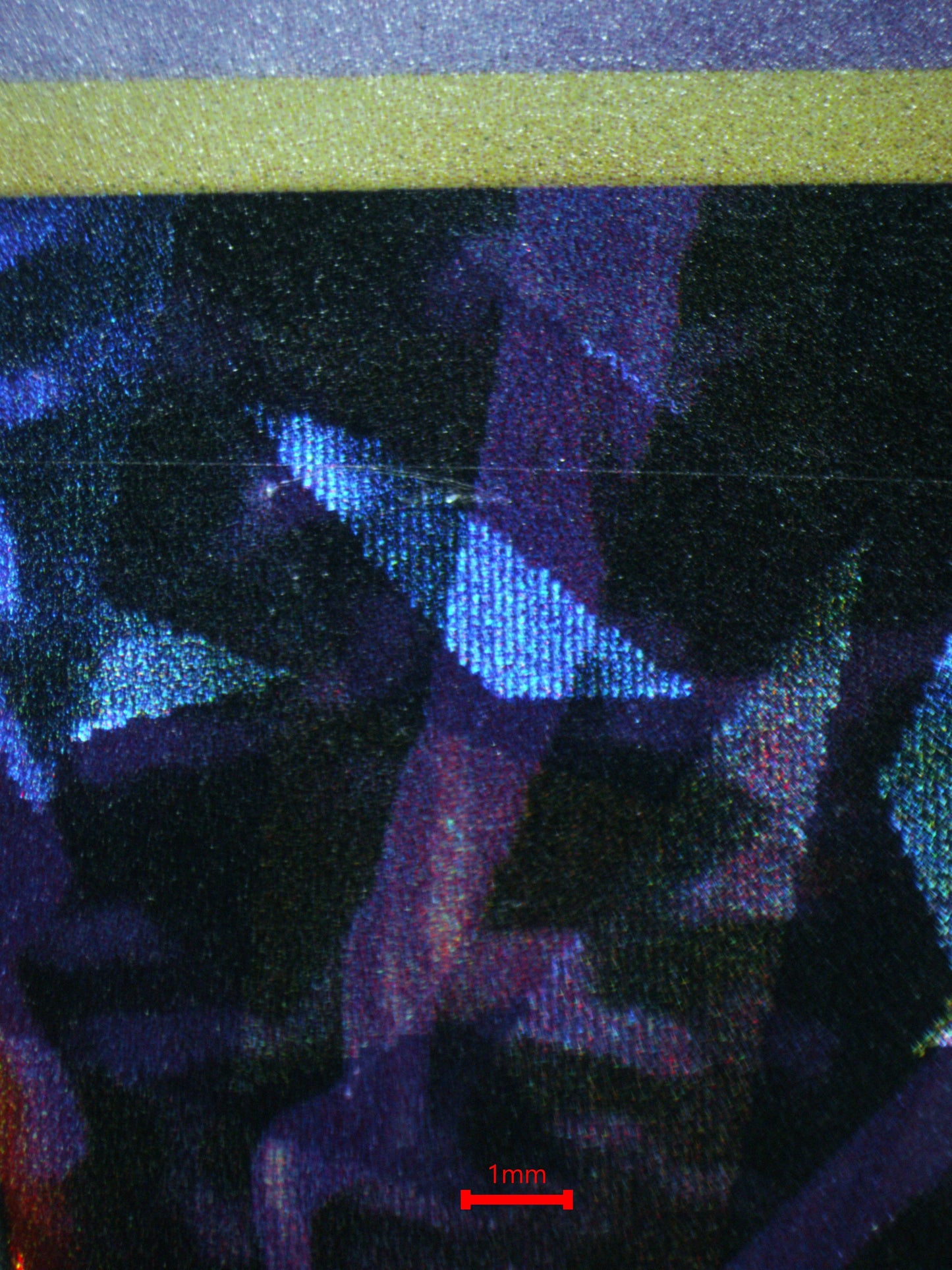 02821 MEWTWO Grading Card