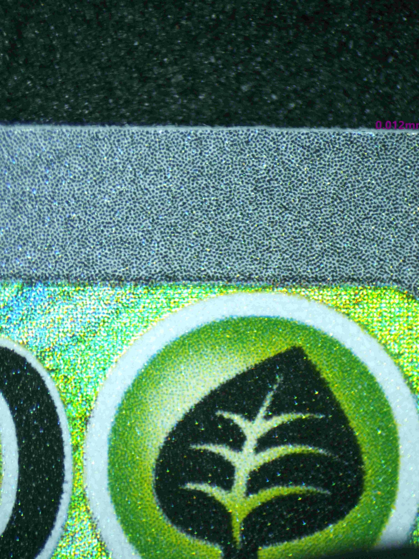 02911 IVYSAUR Grading Card