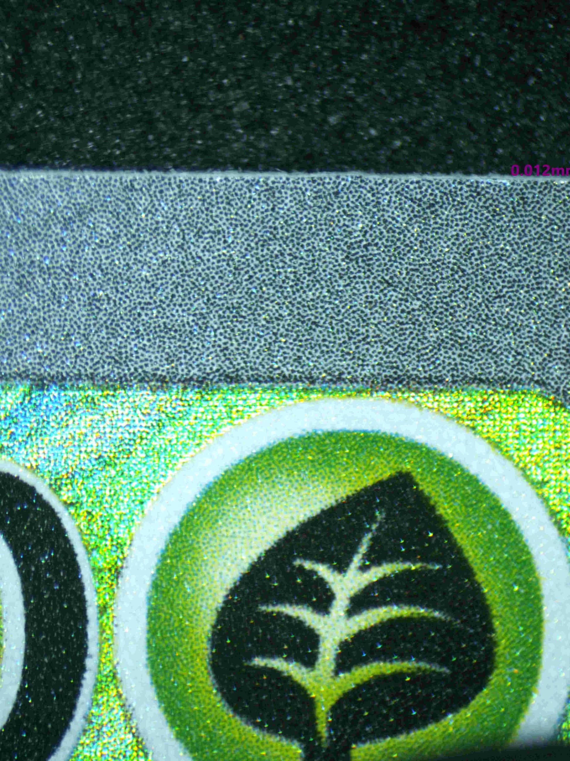 02911 IVYSAUR Grading Card