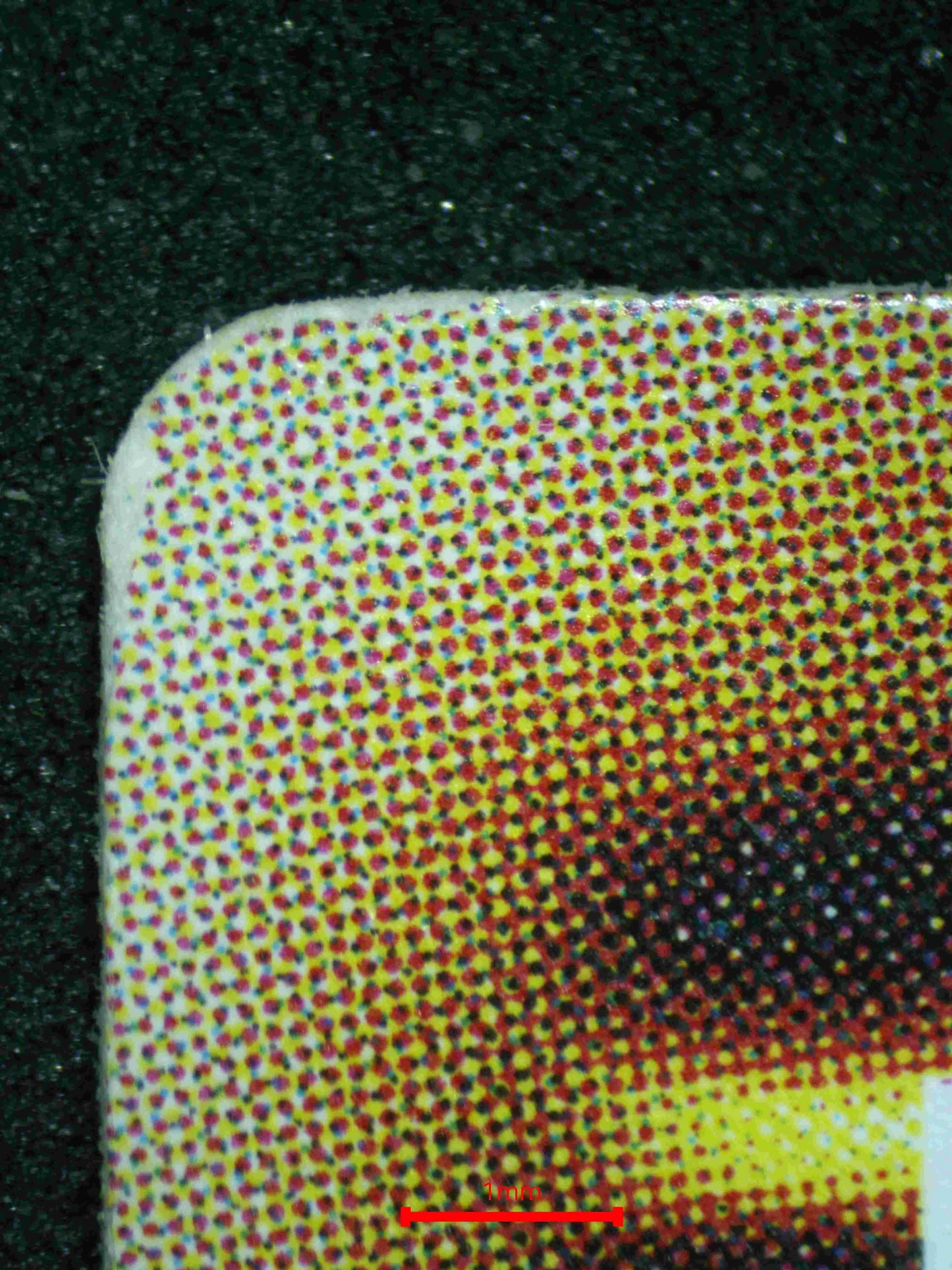 02907 RIGHT LEG OF THE FORBIDDEN ONE Grading Card