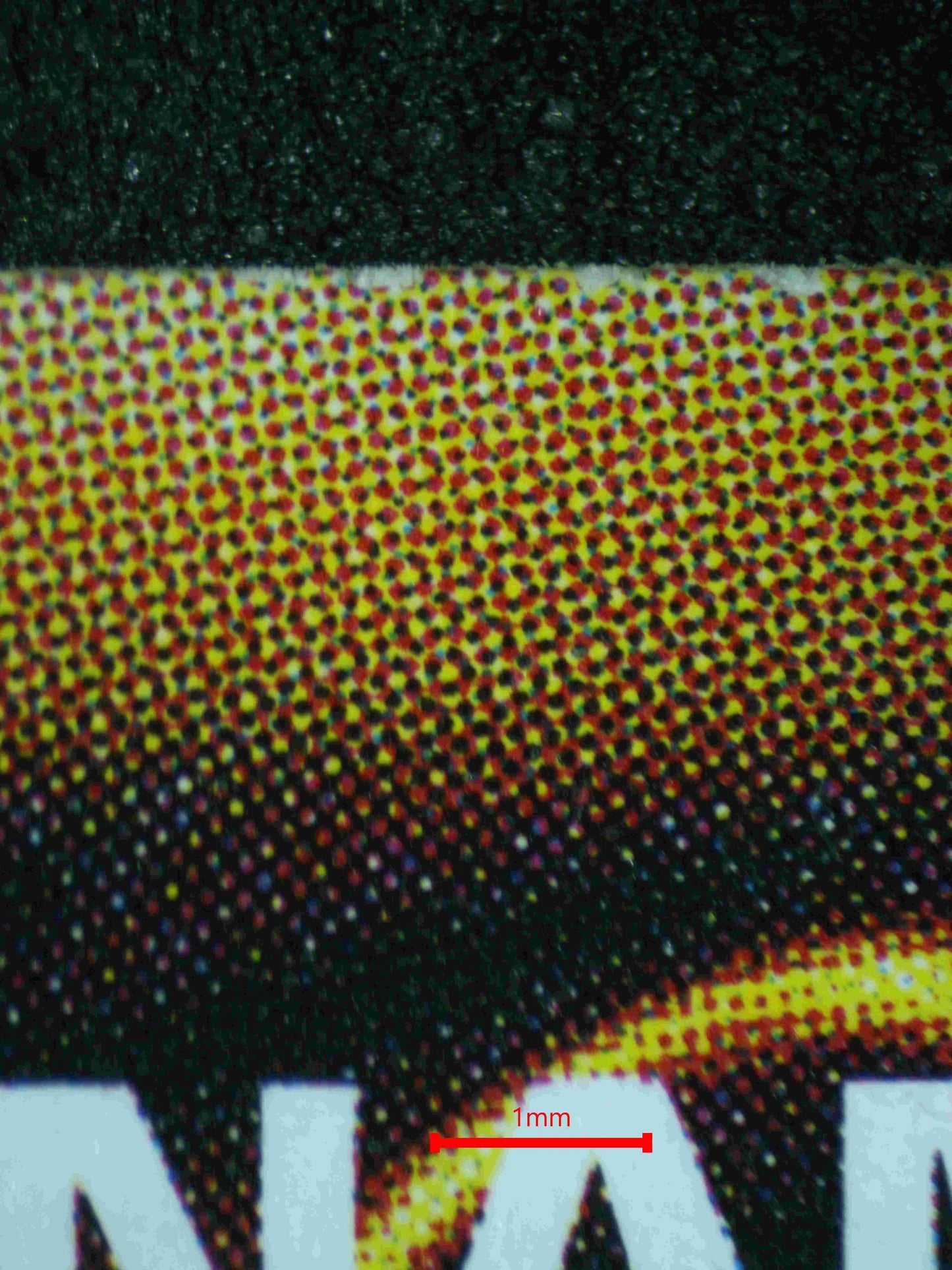 02908 LEFT LEG OF THE FORBIDDEN ONE Grading Card