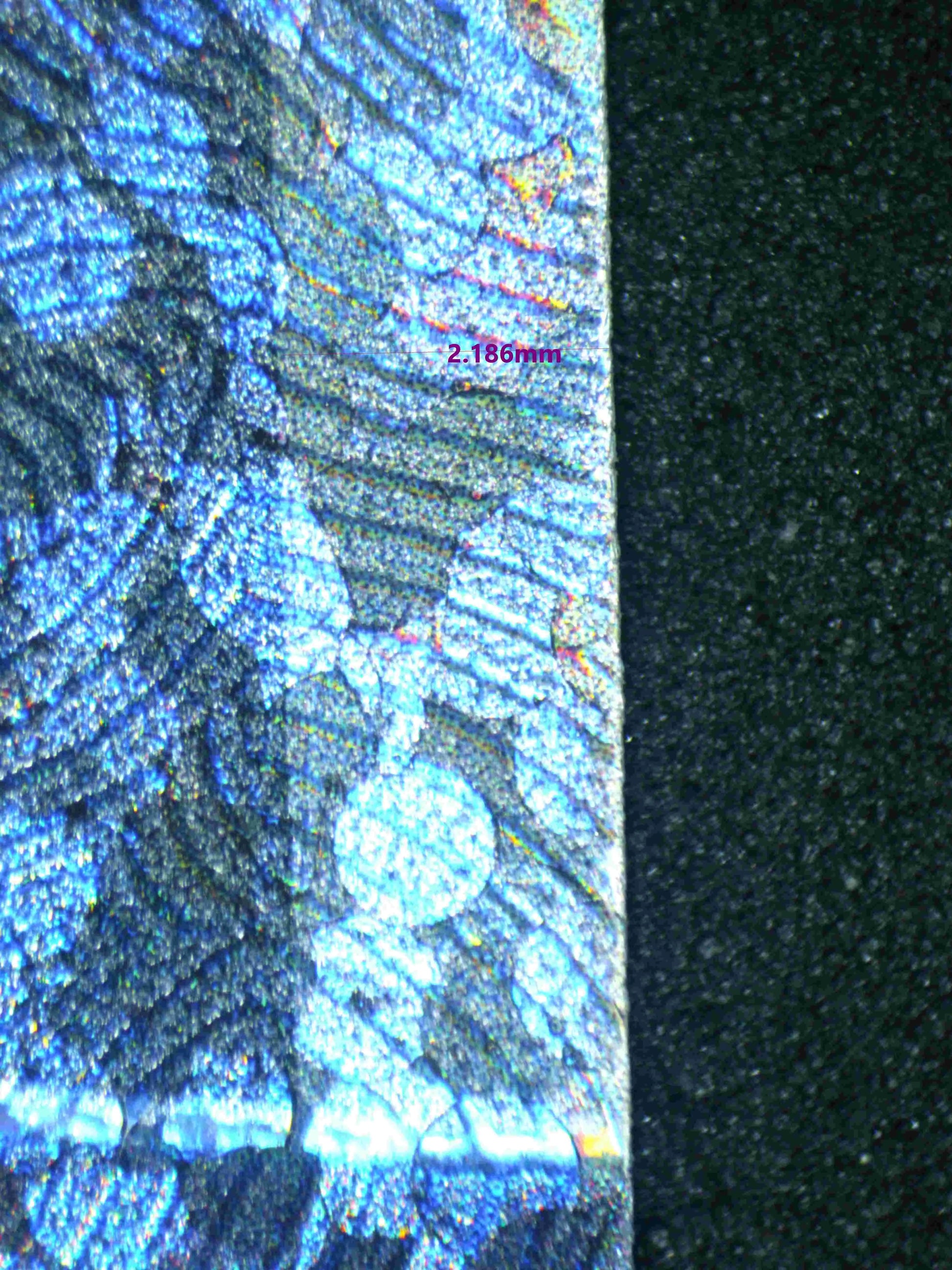 02916 ZEKROM Grading Card