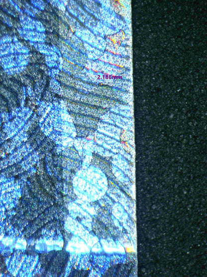02916 ZEKROM Grading Card