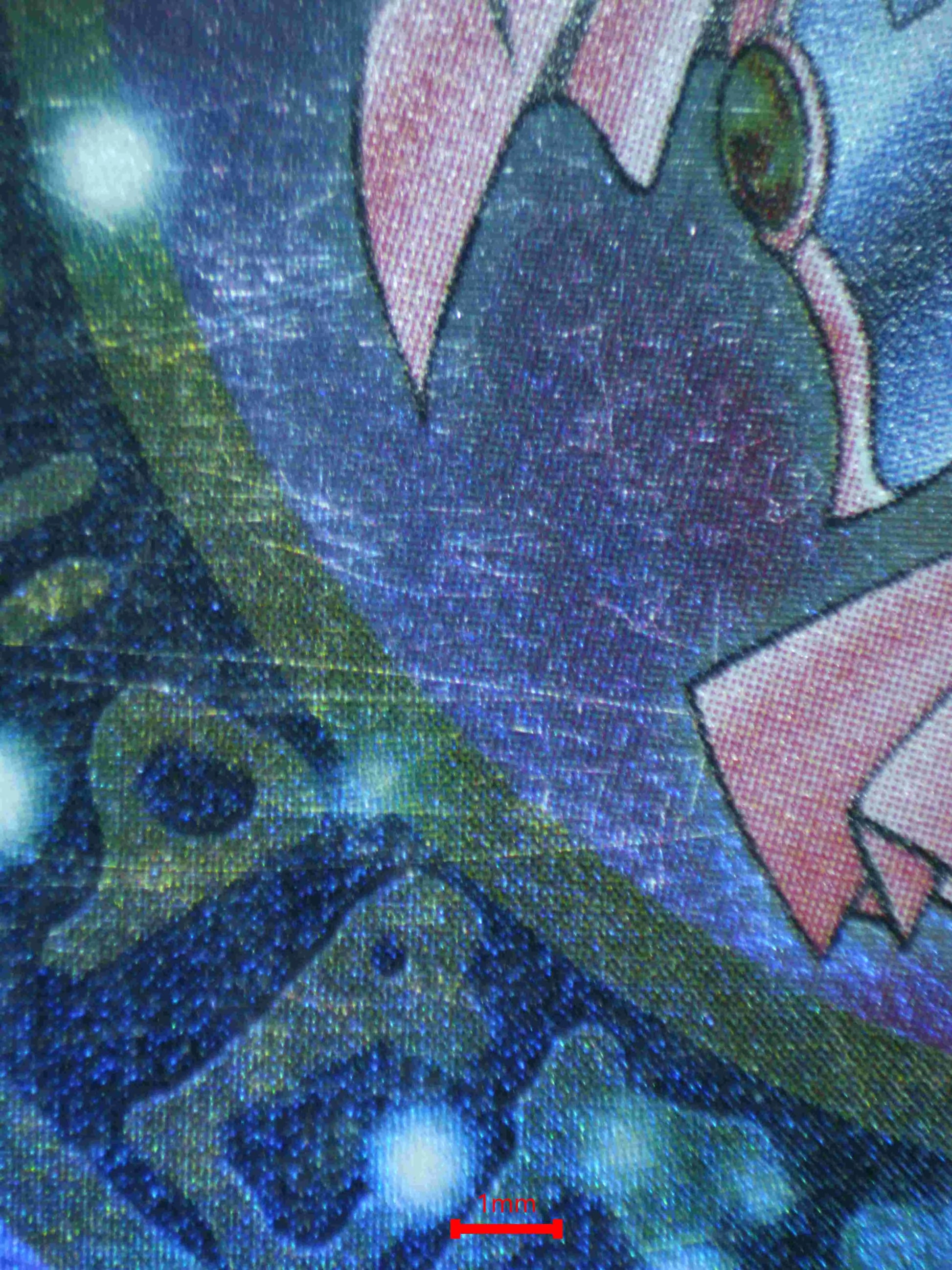 02936 DARK MAGICIAN GIRL Grading Card