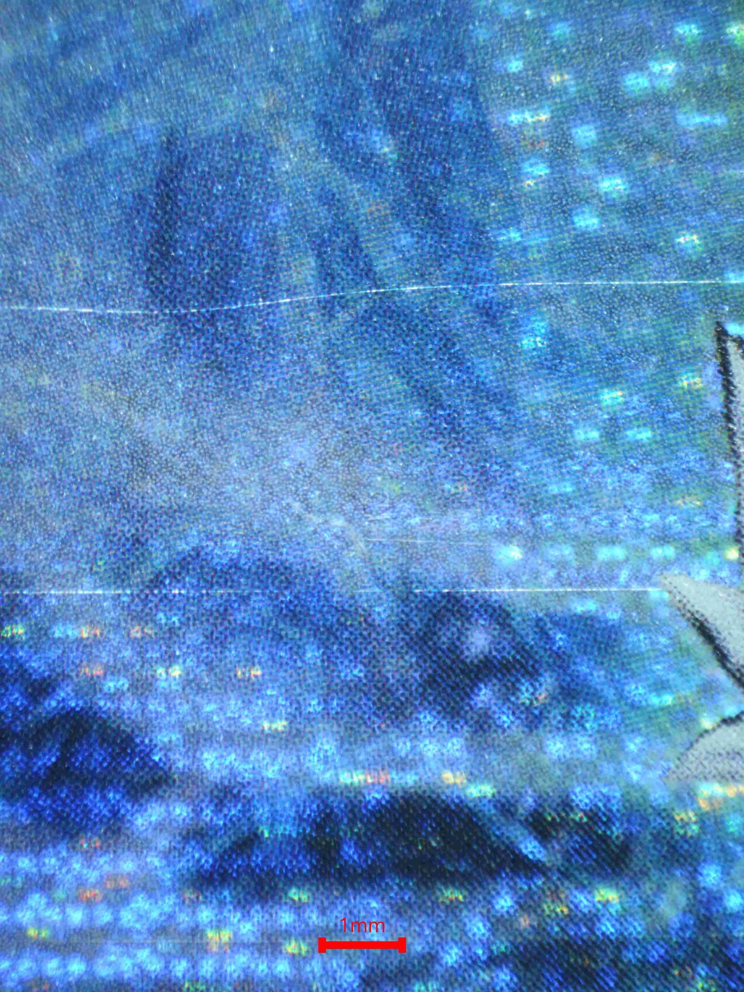 02942 TRISHULA, DRAGON OF THE ICE BARRIER Grading Card