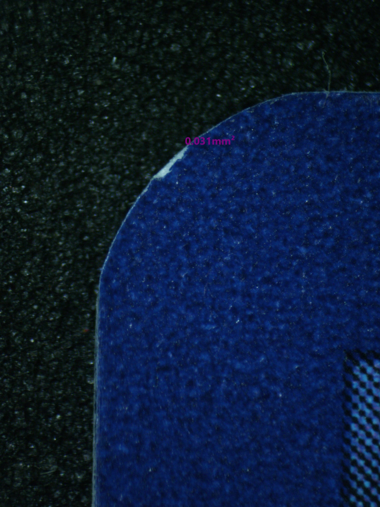 02950 RAICHU Grading Card