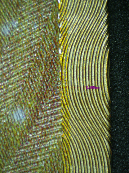 02960 MEW EX Grading Card