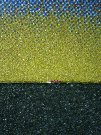 02968 BLASTOISE EX (JAPANESE) Grading Card