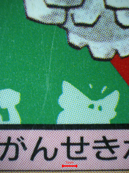 02975 GRAVELER 075 (JAPANESE) Grading Card