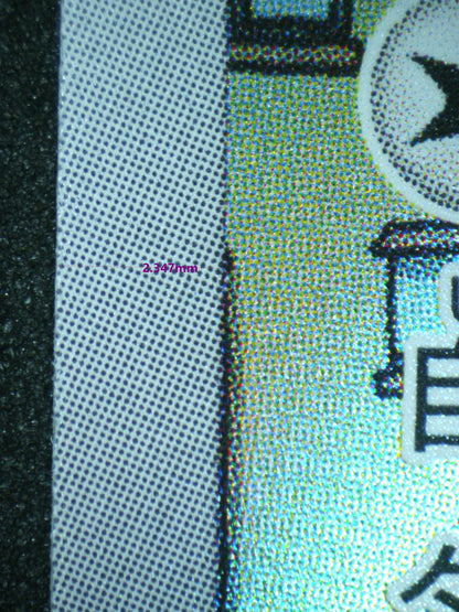 02994 DRAMPA (JAPANESE) Grading Card
