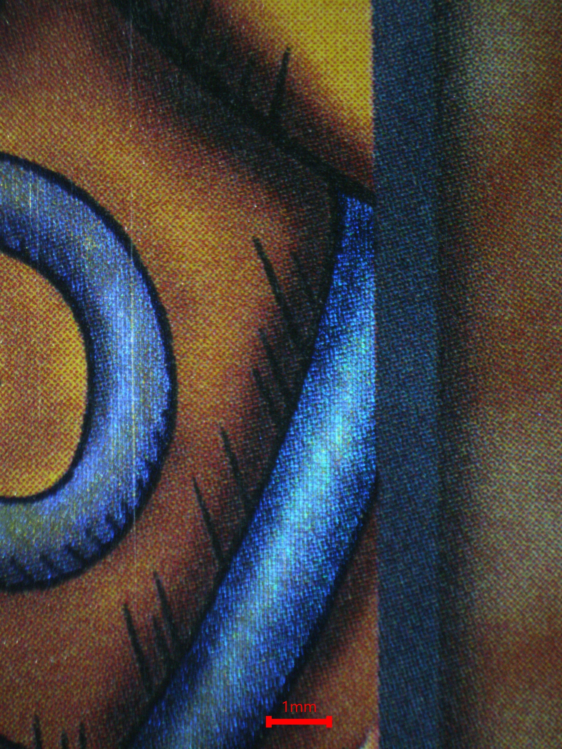 03062 EXODIA THE FORBIDDEN ONE Grading Card