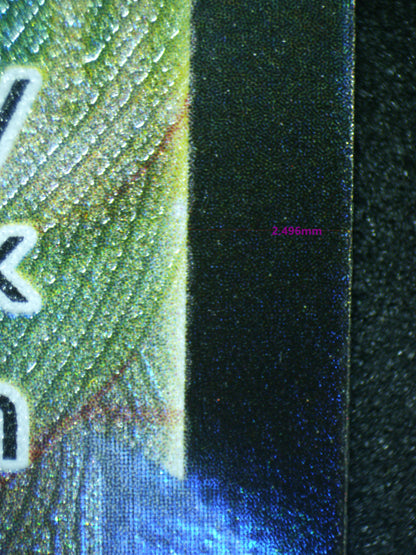03078 RAYQUAZA VMAX Grading Card