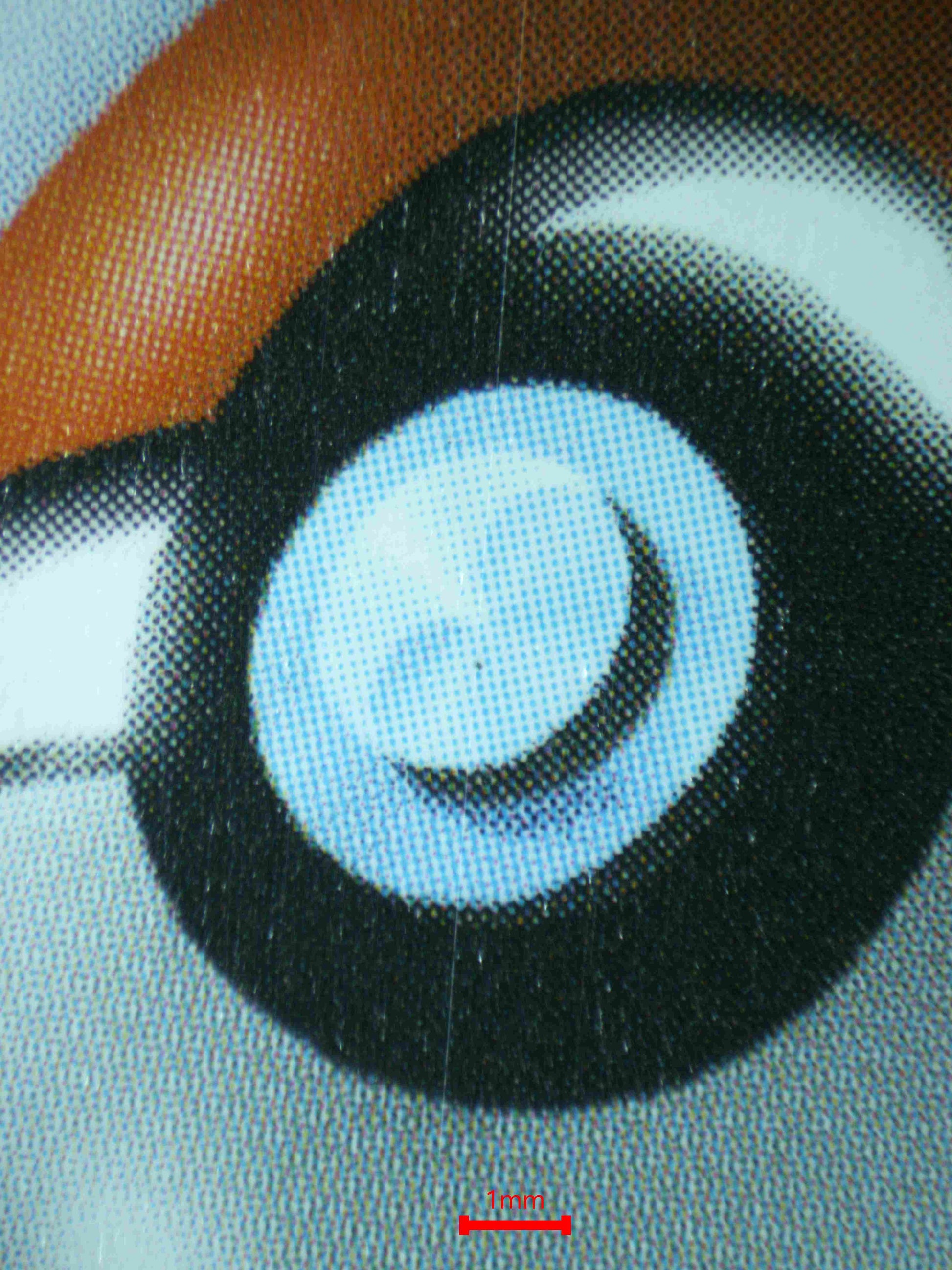 04032 GENGAR VMAX Grading Card