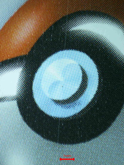 04032 GENGAR VMAX Grading Card