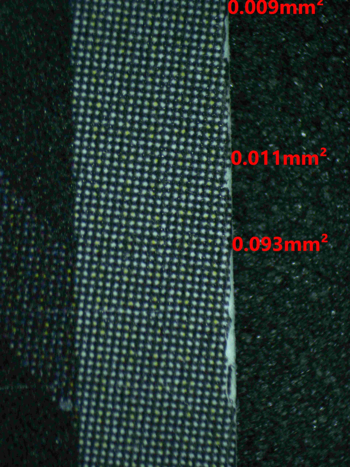 06038 THAT'S REALLY AWESOME, SHINJU INUI (JAPANESE) Grading Card