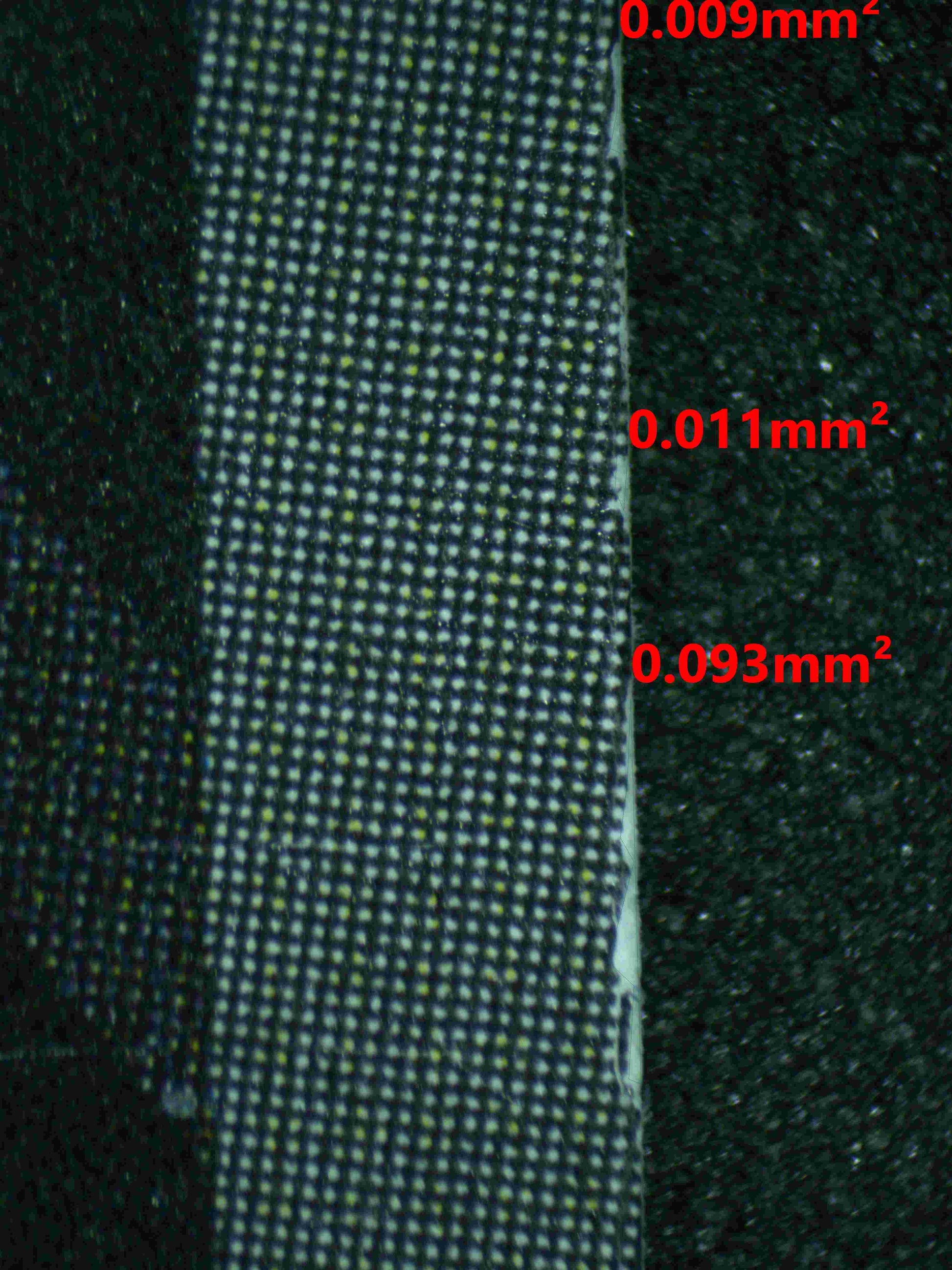 06038 THAT'S REALLY AWESOME, SHINJU INUI (JAPANESE) Grading Card