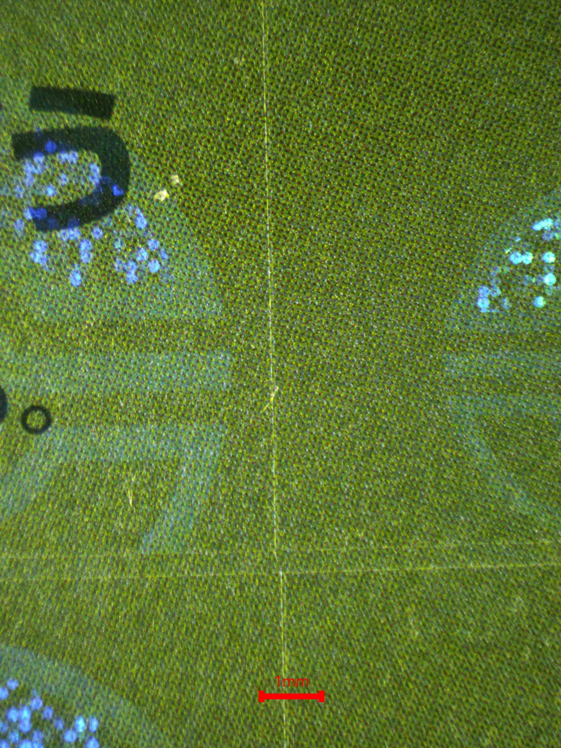 06163 DRAGONITE (JAPANESE) Grading Card