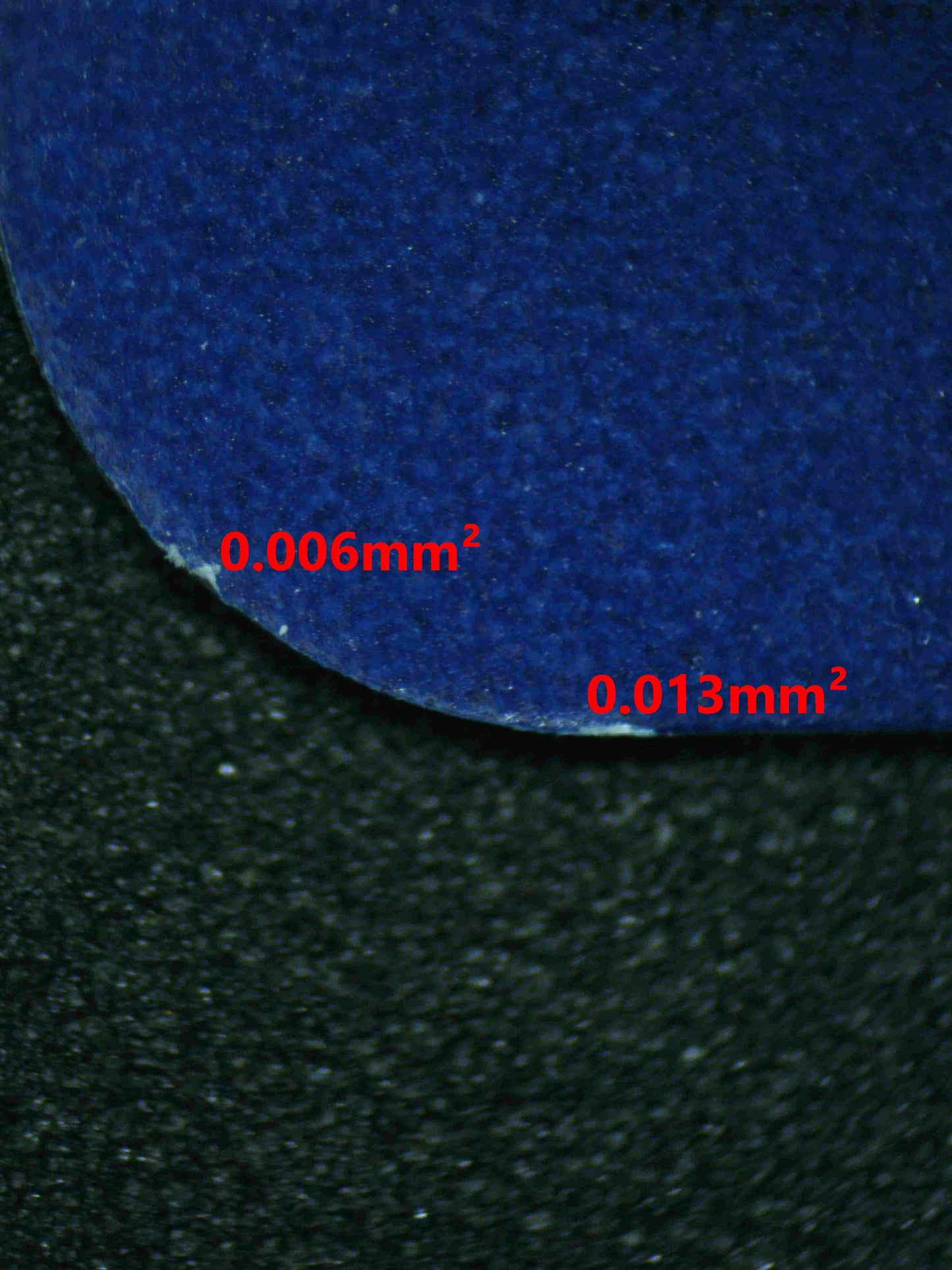 06165 PIDGEOT EX Grading Card