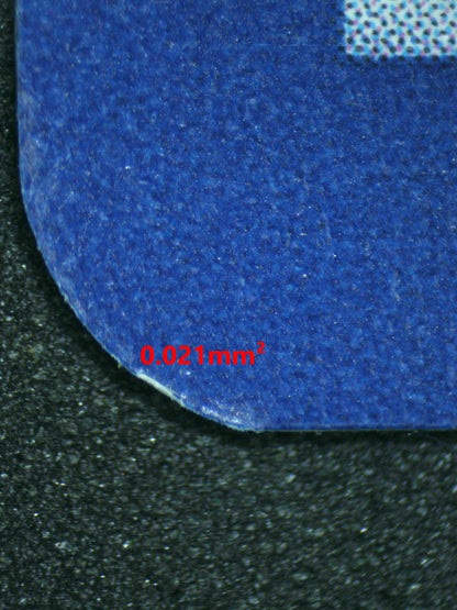 06166 JUDGE Grading Card