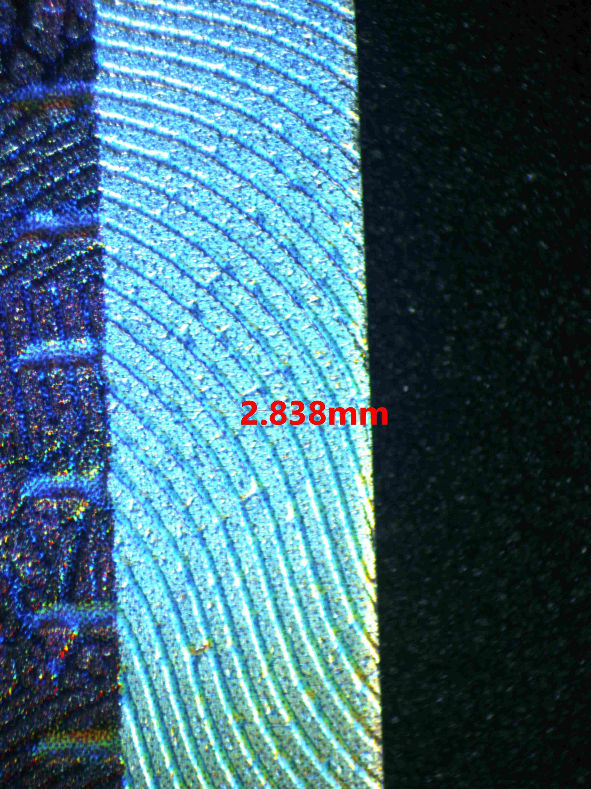 06166 JUDGE Grading Card