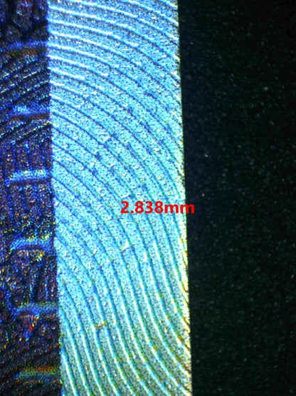 06166 JUDGE Grading Card