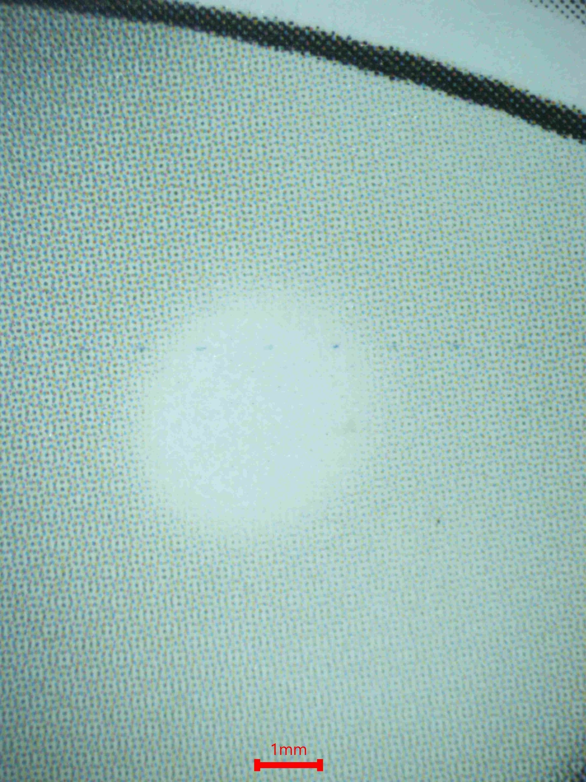 06168 FLYGON EX Grading Card