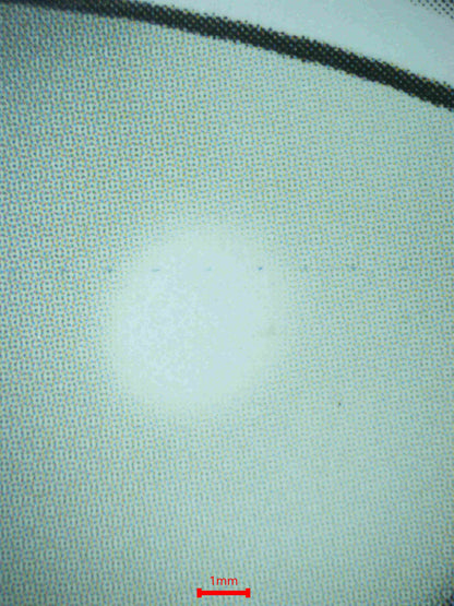 06168 FLYGON EX Grading Card